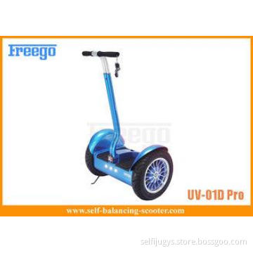 Double 800W Motor Self Balancing Scooter 2 Wheeled For Kid